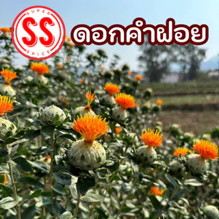 ดอกคำฝอย 100 กรัม (บรรจุถุงซิปล็อก )