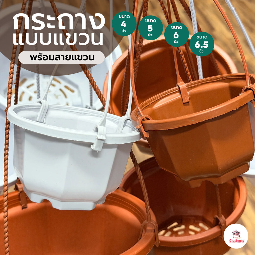 กระถางแขวน 8 เหลี่ยม พร้อมสายแขวน กระถางพลาสติก แคคตัส กระบองเพชร ไม้อวบน้ำ Cactus&Succulent