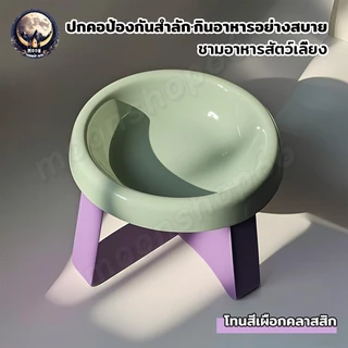 ชามอาหารหมา ชามข้าวแมว ชามอาหารสัตว์เลี้ยง