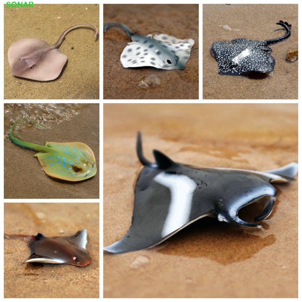 SONAR Manta Ray รุ่น, จําลอง Miniature Ocean สัตว์ตัวเลข, DIY ภูมิทัศน์ความรู้ความเข้าใจปลารุ่นการศึกษา Sea Life Action Figurines ของเล่นเด็ก