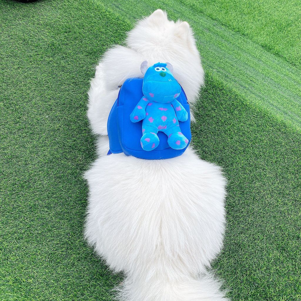 Pet Self-Backpack Golden Retriever Big Dog Outing Backpack Samoyed Alaska Medium Large Dog Backpack