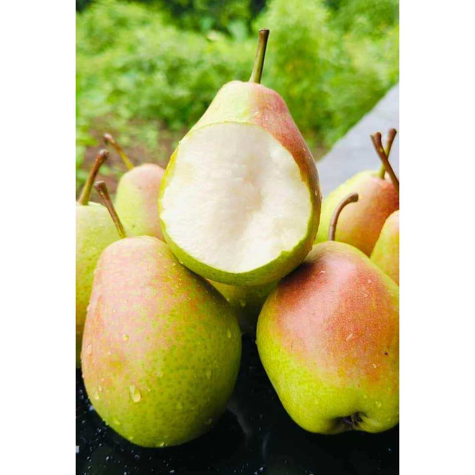 111 แพรแดง พร้อมส่ง‼️‼️1kg.หวาน กรอบ อร่อย ทานแล้วสดชื่น Good