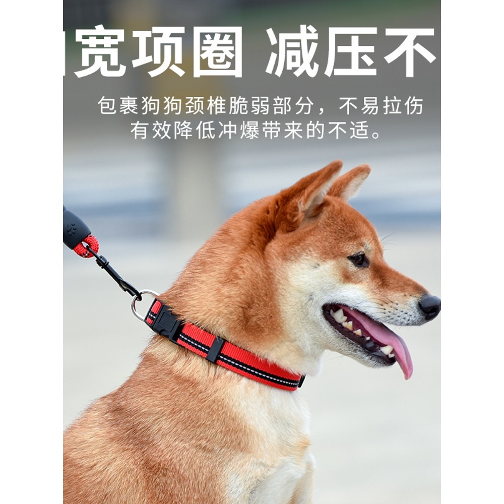 Ralphwell Official Flagship Store สายจูงสุนัข สายจูงสุนัข ปลอกคอเดินสุนัข Teddy Golden Retriever Pet