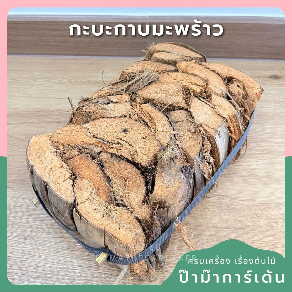 กะบะกาบมะพร้าว (วัสดุปลูกธรรมชาติ) ขนาด 8.5 * 13.5 นิ้ว - Coconut Husk Planter / Tray