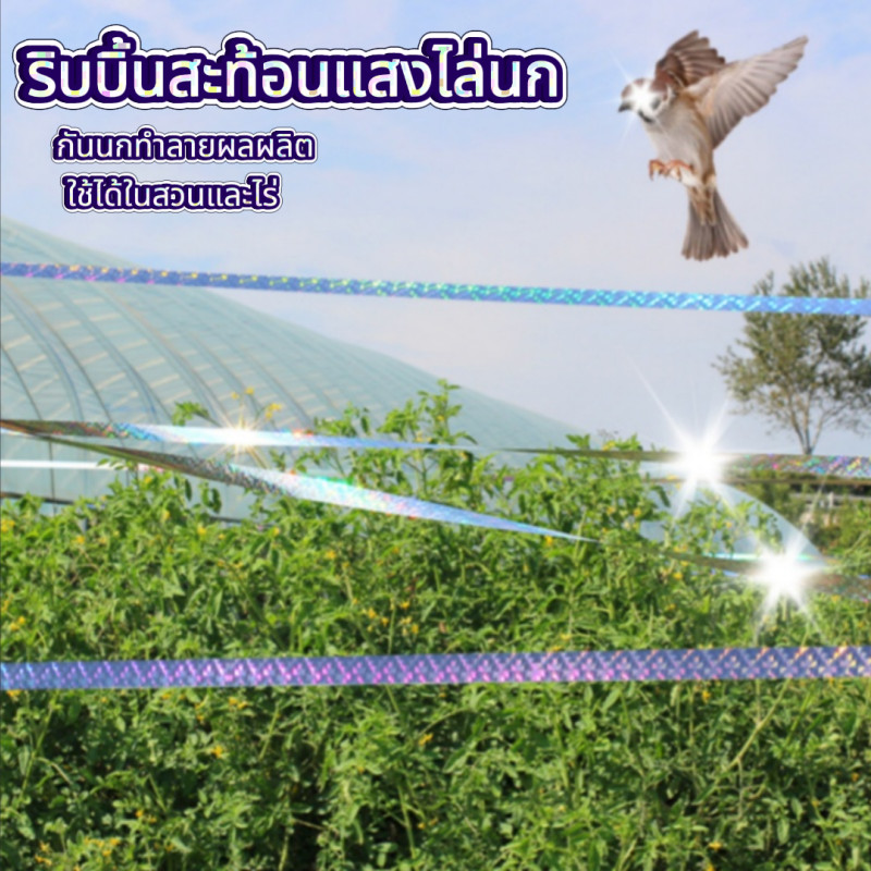 2.4CMX50M เทปไล่นก ริบบิ้นสะท้อนแสงไล่นก เทปริบบิ้นสะท้อนแสง เทปกั้นเขต เทปกั้นนก กันนกทำลายผลผลิต ใช้ได้ในสวนและไร่