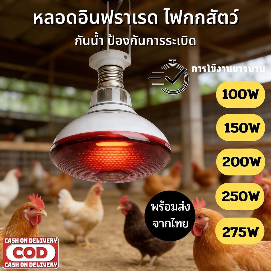 【HS】COD หลอดไฟอินฟาเรด ประหยัดไฟ 100W-275W ร้อนเร็ว กันน้ำ ไฟกกหมู/ไก่ไข่ ลดความชื้น ทนความร้อนสูง ใช้งานคุ้มค่า MC-100