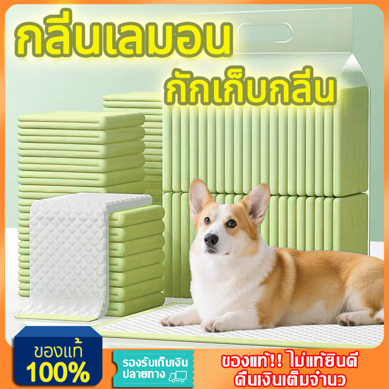 YTL🐶กลิ่นเลมอน🐶 แผ่นรองฉี่สุนัข ซึมซับไดีดี ต่อต้านแบคทีเรีย แผ่นรองฉี่ ผ้ารองฉี่สุนัข แผ่นรองฉี่แมว แผ่นรองซับ COD