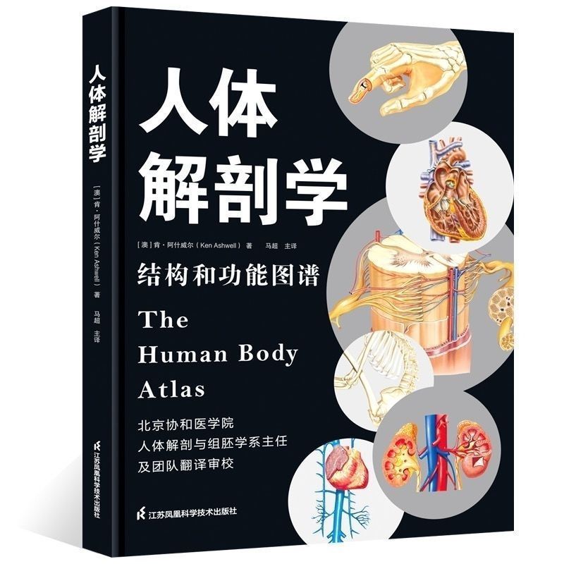 Ergonomic Atlas และโครงสร้าง Decomition Anatomy Atlas ในภาพหนังสือนักเรียนสีเต็มรูปแบบ89226012789226