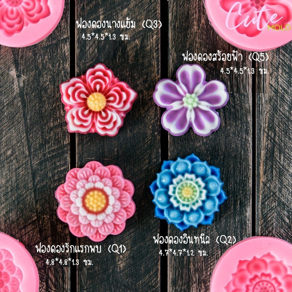 คมชัด//แม่พิมพ์ทำขนม / แม่พิมพ์ฟองดอง พิมพ์วุ้น อาลัว Q1 Q2 Q3 Q5 (เลือกแบบ)