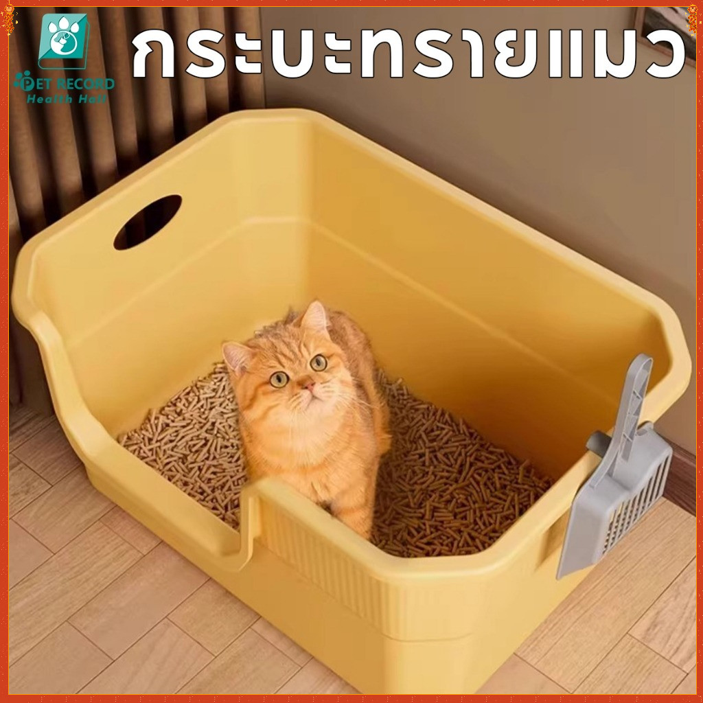 กระบะทรายแมวกว้าง กระบะทราย ห้องน้ําแมว กระบะทรายแมวใหญ่ กะบะทรายแมวขอบสูง กะบะทรายแมวใหญ่ๆ