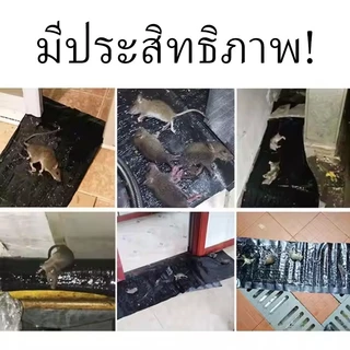 5 /10 ชิ้น ส่งเร็วมาก แผ่นฟิล์มดักหนูขนาดใหญ่ กาวดักหนู ฟิล์มดักหนูสำเร็จรูปขนาด(28cm×120cm)