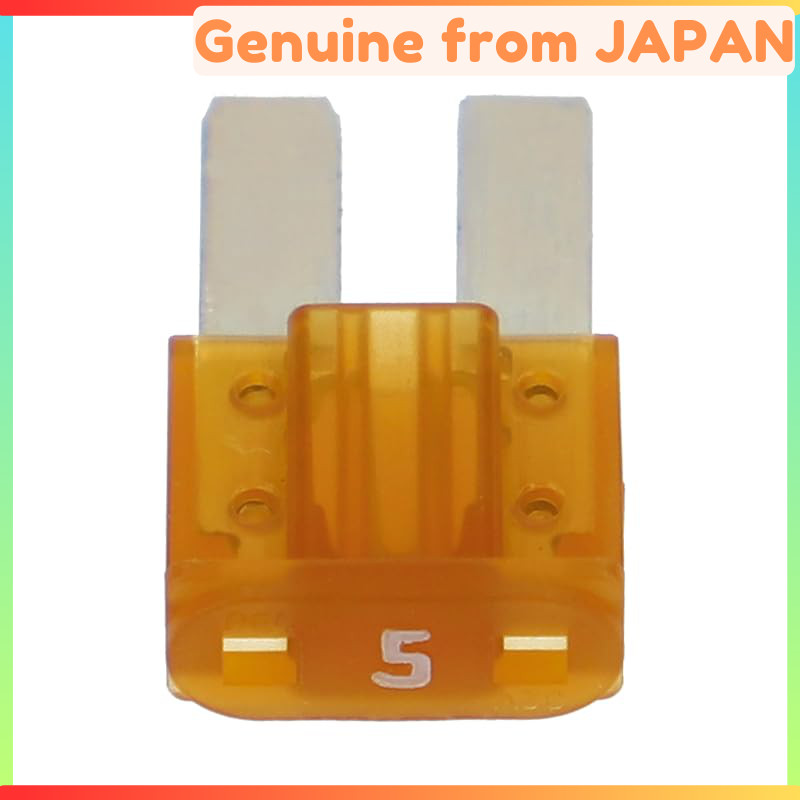 Amon Micro2 Fuse - 10 Pack (Various Amp Ratings Available)