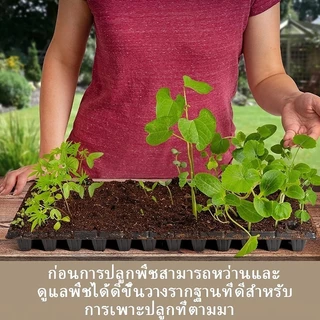 ถาดเพาะกล้า 21/32/50/72/105/128/200 หลุม ถาดเพาะชำ ถาดเพาะเมล็ด ต้นอ่อน เมล็ด ไฮโดร ความหนา 1.0 มิล