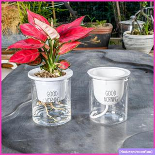 จัดส่งจากประเทศไทยUPUT กระถางดอกไม้พืชฉ่ําร้อนตกแต่งสํานักงา…