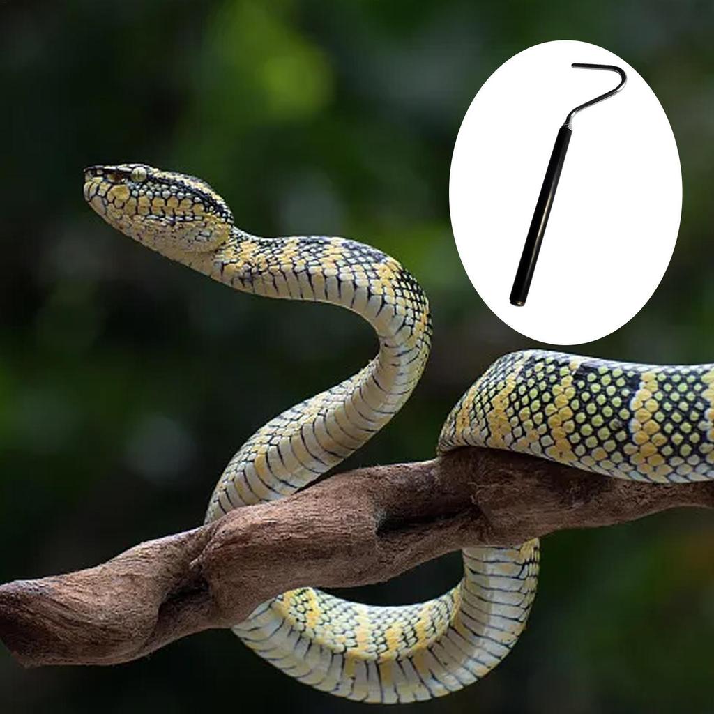 เครื่องมือจับงู Telescopic Snake Hook Pick up Tools Professional Snake Catcher มือถือ Snake Grabber 
