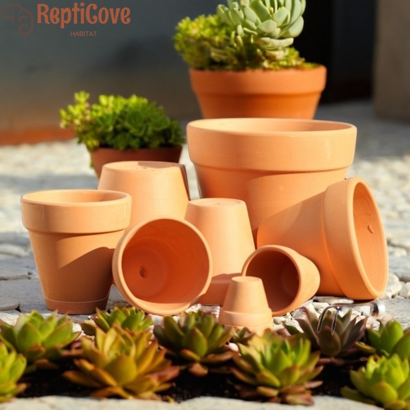 ถ้ําสัตว์เลื้อยคลาน Earthenware, Spider Scorpion Centipede Shelter, Enscape-Proof Breeding Nest, Ter