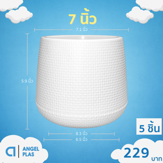 กระถาง กระถางต้นไม้ มินิมอล เบลล่า ขนาด 6 7 8 นิ้ว สีดำ สีขา…