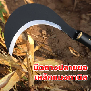 เคียว ใบมีดโค้ง เคียวเหล็กแมงกานีส มีดหวดหญ้า พร้อมด้ามจับ มีดขอ รุ่นงานหนัก พร้า เคียวข้าว ส่งจากไทย