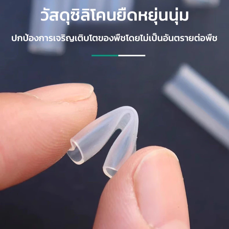 ท่อต่อกิ่งพลาสติก อุปกรณ์เกษตรสำหรับขยายพันธุ์พืช thumbnail 5