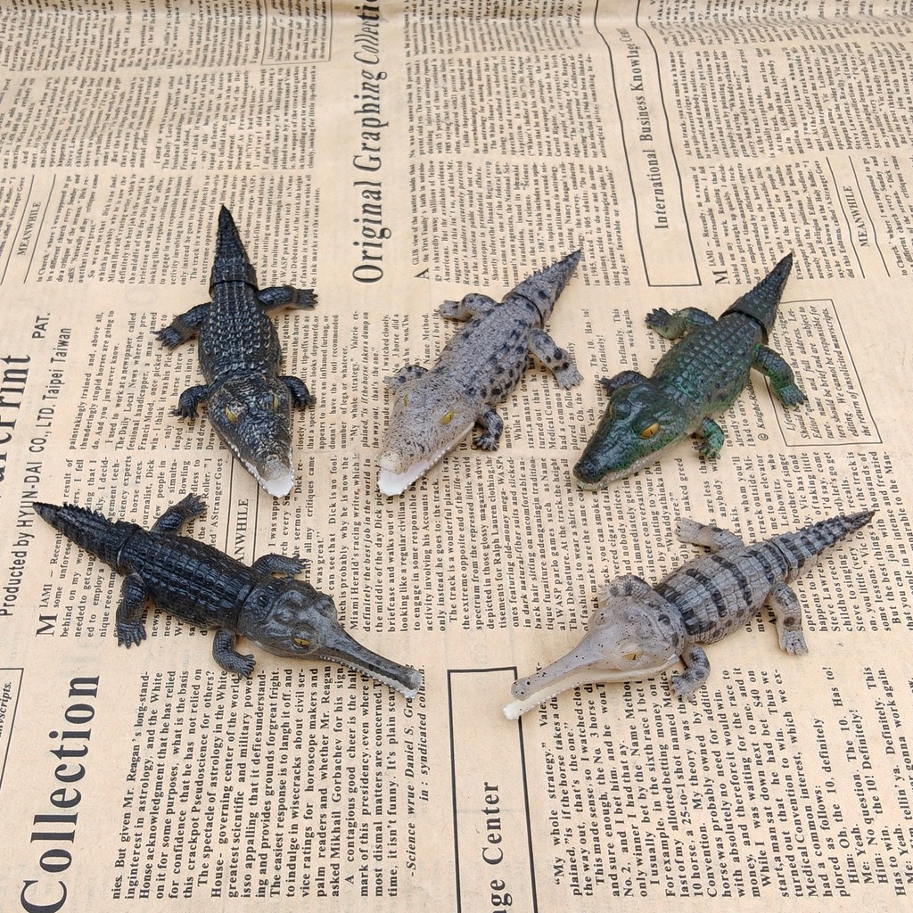 สินค้าจํานวนมากของแท้ Bandai Biological Big Illustrated Book Crocodile Nile Crocodile Ganges Crocodi