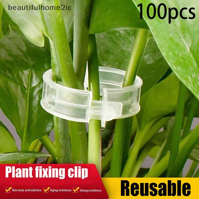 [ใหม่] 100 ชิ้น Secureed พลาสติกคลิปพืชอัพเกรดคลิปสนับสนุนพืชคลิปสวนคลิปสําหรับปีนเขาพืชสนับสนุนคลิปพืชแก้ไขคลิป [TH]