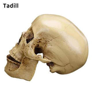 [negjsg] เรซิ่นกะโหลกรูปปั้นหุ่นโครงกระดูกหัวโมเดลบาร์ตกแต่ง…