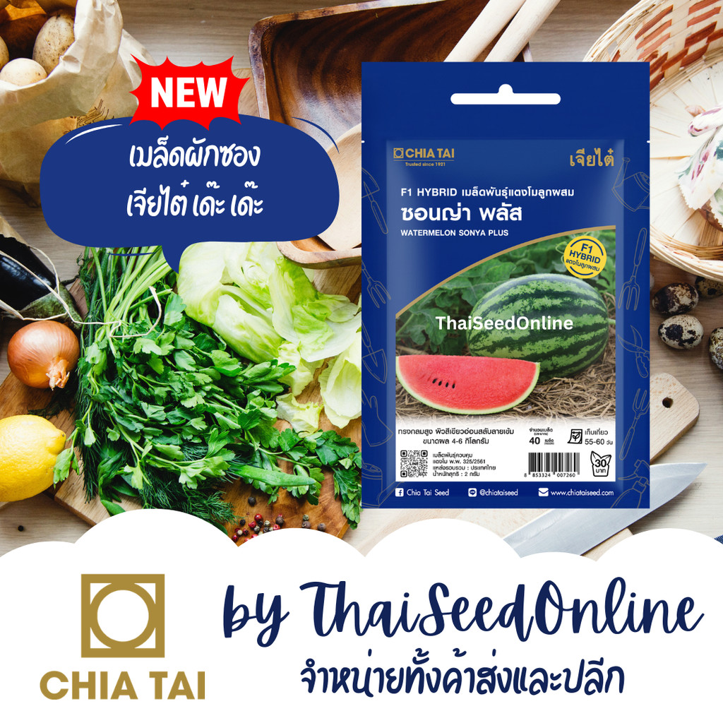 CTSE เมล็ดพันธุ์ แตงโม ซอนญ่าพลัส 40 เมล็ด ตราเจียไต๋ Sonya Plus Watermelon Seeds