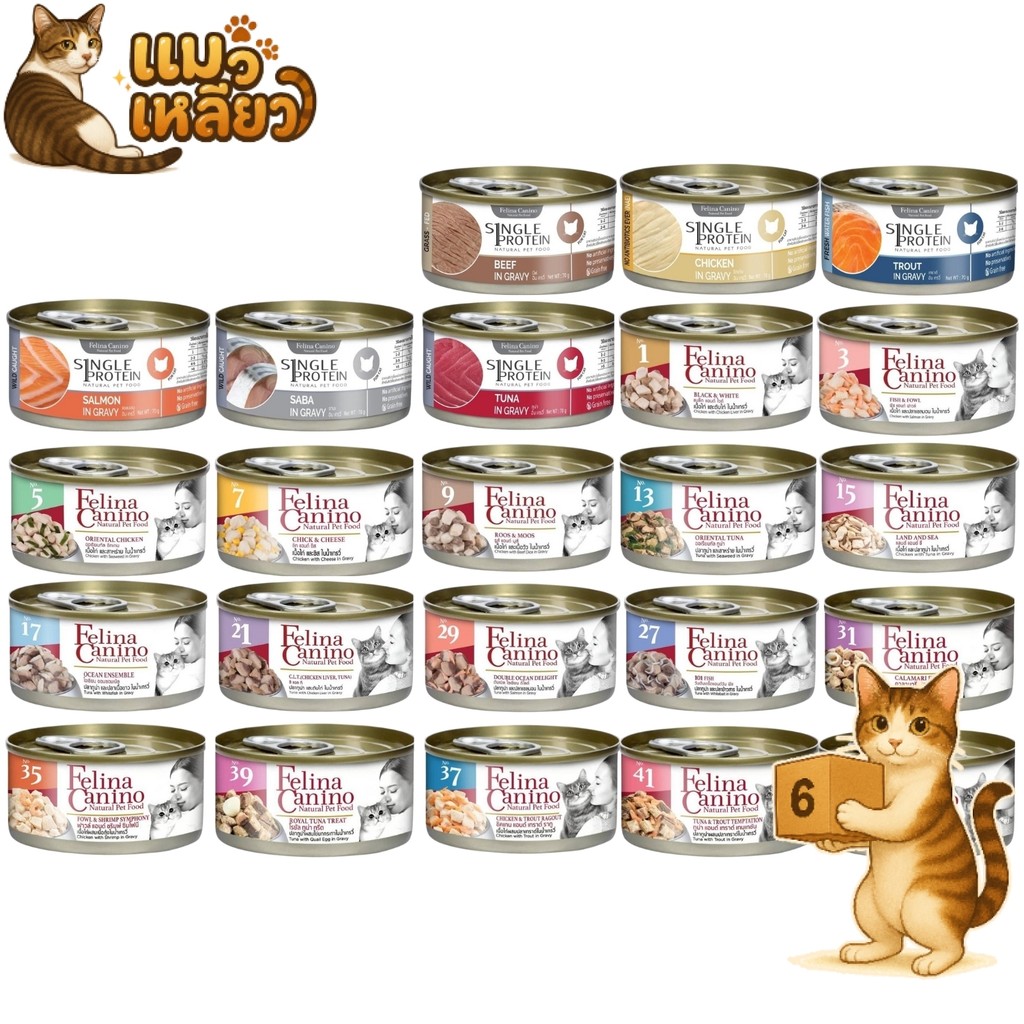 ( 6 กระป๋อง ) Felina Canino Single Protein เปียกแมว เนื้อเน้นๆ ไม่เติมเกลือ เหมาะกับน้องแมวอายุ 2 M+