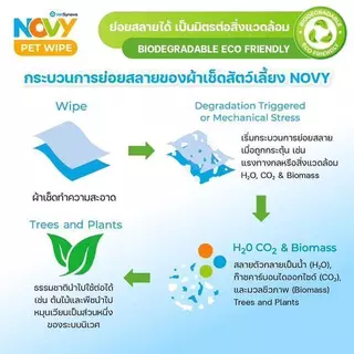 NOVY PET WIPE ผ้าเปียกสำหรับสัตว์เลี้ยง อ่อนโยนต่อผิวสัตว์เลี้ยง บรรจุ (20แผ่น)/(80แผ่น)