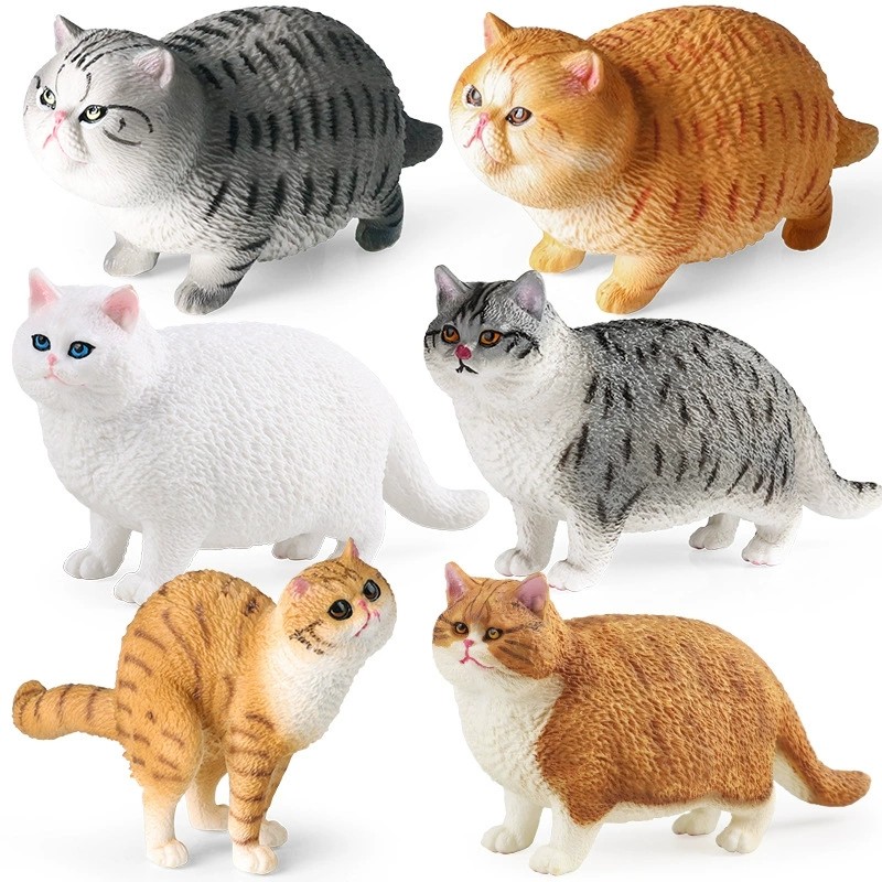 จําลอง Shorthair Ragdoll Garfield Cat Model Children Science Education Toys ของขวัญวันเกิดเครื่องประ