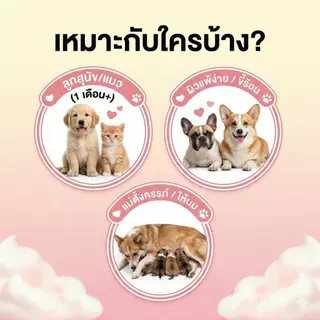 แชมพูสุนัข แมว สูตรลูกหมา ลูกแมว หมาเด็ก ผิวแพ้ง่าย ลดผื่นแดง แก้คัน บำรุงผิวหนัง กลิ่นแป้งเด็ก หอมนาน ธรรมชาติ อ่อนโยน ไม่แสบตา 500ml