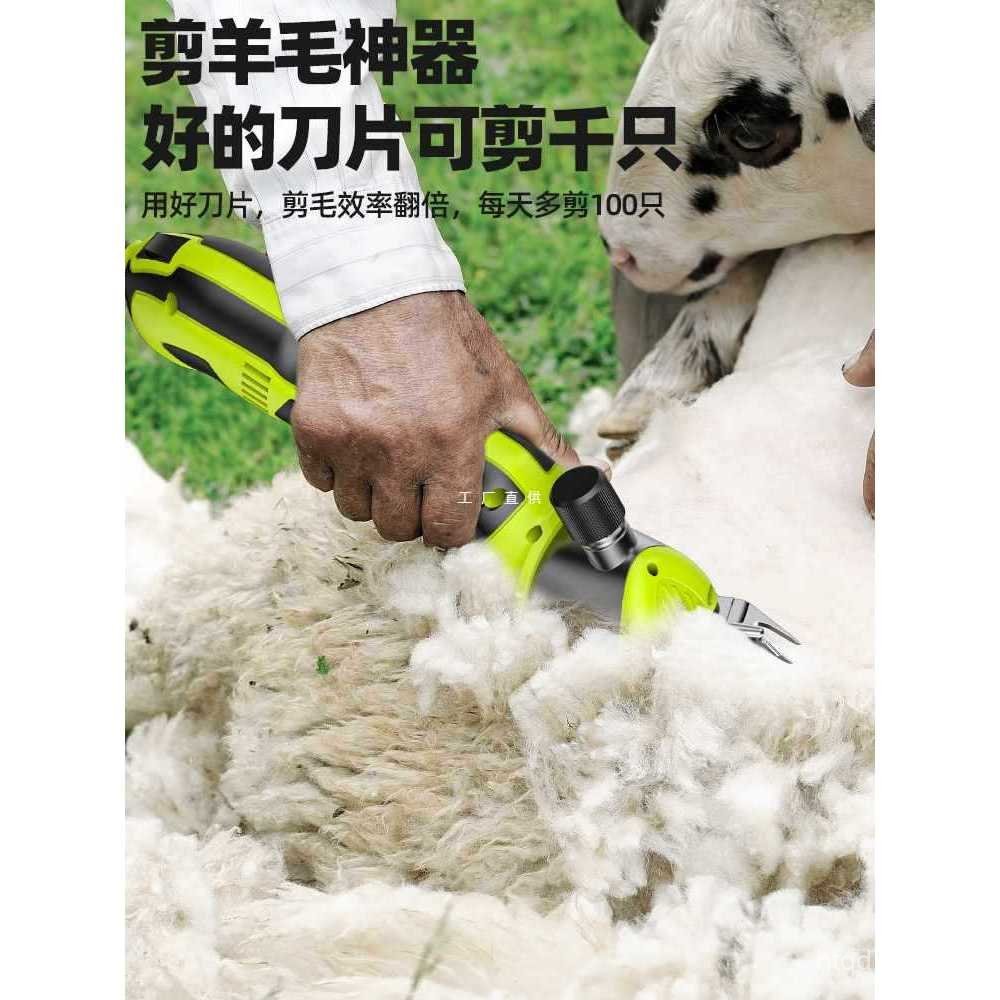 ขนสัตว์Clipper Push Blade Hair Clipperไฟฟ้าขนสัตว์อุปกรณ์เสริมเยอรมันไฟฟ้าAll-Blade Clipperตัดผมไฟฟ้