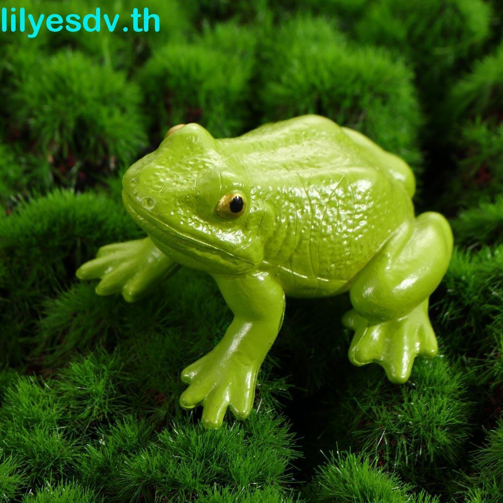 LILYES Growth Cycle รุ่นของเล่นเด็กผีเสื้อ Growth Cycle การสอนวัสดุไก่ Spider Life CYCLE Figurine