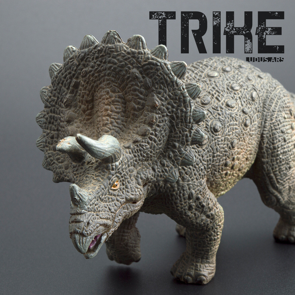Solid Triceratops รูปไดโนเสาร์ Jurassic Animal World ของเล่นมือถือสําหรับชายการศึกษาแสดงเครื่องประดับ