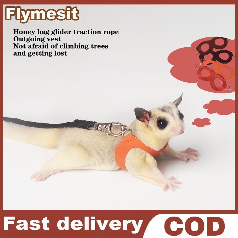 Flymesit 4 ชิ้นสัตว์เลี้ยงขนาดเล็กสายรัดหน้าอกหนูแฮมสเตอร์กระรอก Leash Anti Bite Traction เชือก Sugar Glider Windproof พิเศษ Anti Lost เชือก EN