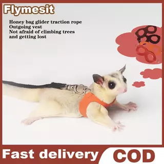 Flymesit 4 ชิ้นสัตว์เลี้ยงขนาดเล็กสายรัดหน้าอกหนูแฮมสเตอร์กระรอก Leash Anti Bite Traction เชือก Sugar Glider Windproof พิเศษ Anti Lost เชือก EN