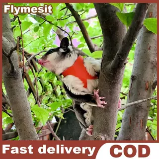 Flymesit 4 ชิ้นสัตว์เลี้ยงขนาดเล็กสายรัดหน้าอกหนูแฮมสเตอร์กระรอก Leash Anti Bite Traction เชือก Sugar Glider Windproof พิเศษ Anti Lost เชือก EN