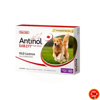 (แพคเกจใหม่ ยกกล่อง ) Antinol Dog exp 02/2028 อาหารเสริมบำรุงข้อสำหรับสุนัข 1 กล่อง บรรจุ 60 เม็ด