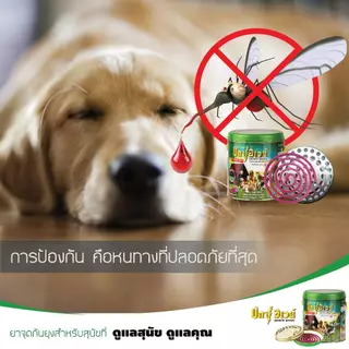ยาจุดกันยุง Buxaway 12 ขด รุ่นRefill ยาจุดกันยุง กันแมลง สำหรับสัตว์เลี้ยง หมา แมว