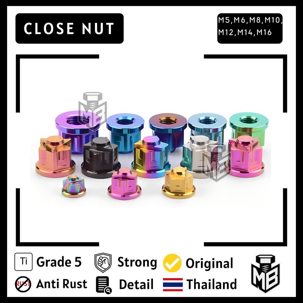 ปิดน็อตไทเทเนียม m6, m8, m10, m12 & m14 / star Nut Titanium Material Ti-6Al-4V