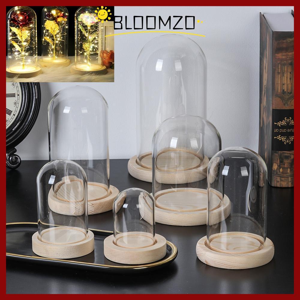 in stockBLOOMZO แก้ว cloche Terrarium โต๊ะตกแต่งบ้าน Terrarium ขวดโปร่งใส Jar ดอกไม้กล่องเก็บ