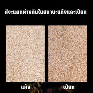 FOR_PET ทรายตกแต่งตู้ปลา ทรายใส่ตู้ปลา ใช้งานง่าย ไม่ขุ่นน้ำ สำหรับตู้ปลาทุกขนาด ได้จากธรรมชาติ หลายสีให้เลือก 2.5KG
