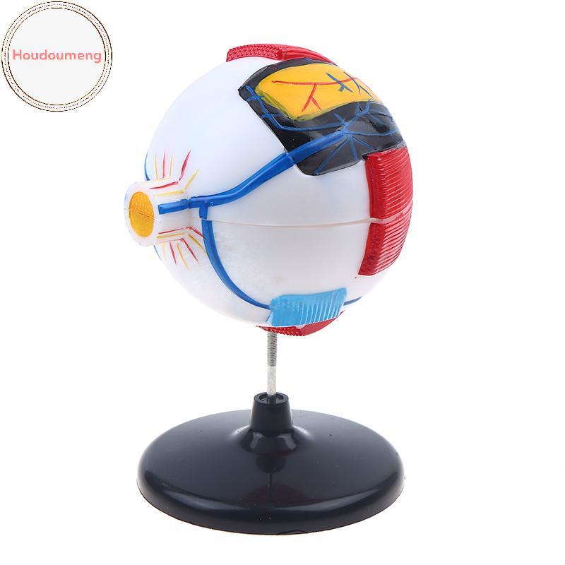 Houdoumeng Eyeball Anatomy สําหรับโรคตาศึกษา, 6X Human Eye Anatomy รุ่น Eye Anatomy อวัยวะมนุษย์การส