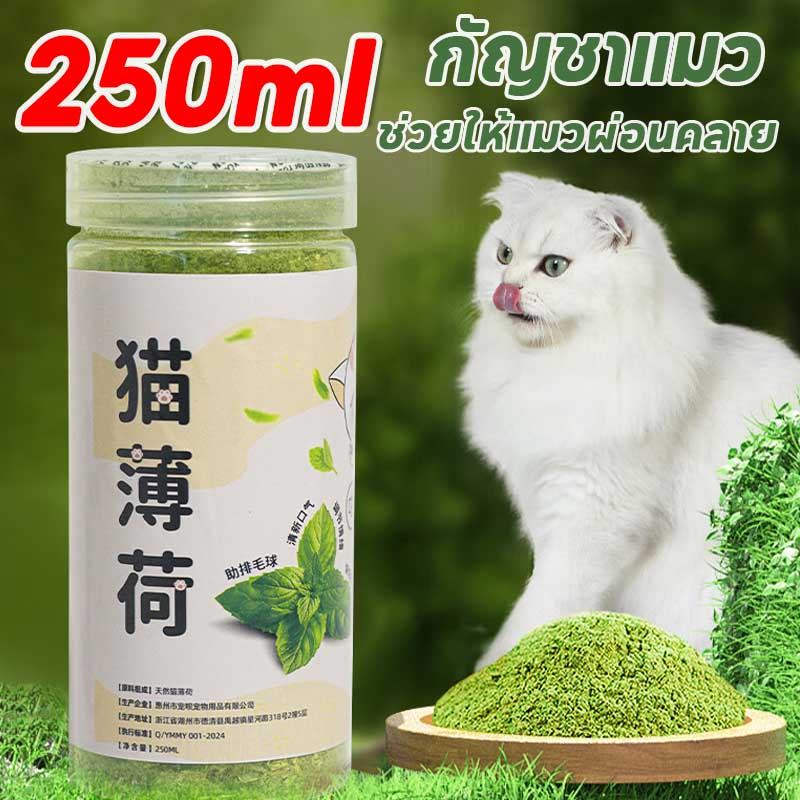 250ml กัญชาแมว Catnip ช่วยให้แมวผ่อนคลาย แบบผงบดละเอียด แคตนิปแมว กัญชาหลอด แมวชอบมาก