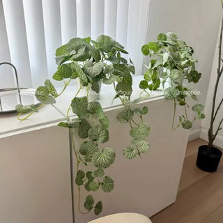 [พร้อมส่ง] Jnihouse : ใบบัวบกเลื้อย ต้นไม้ประดิษฐ์กระถางขาว (Faux Centella Trailing Plant)(SW015)