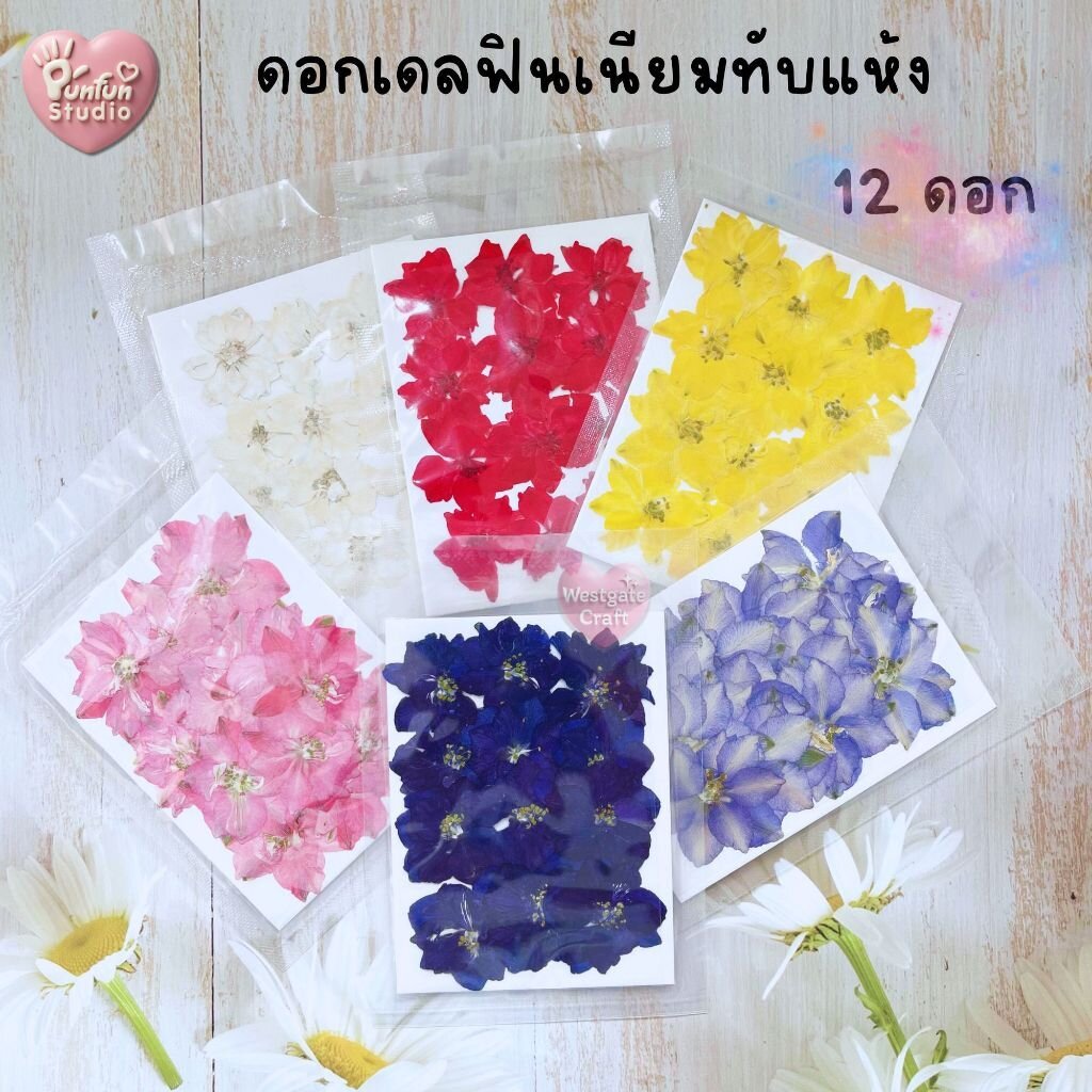 ดอกไม้แห้ง ดอกเดลฟินเนียมทับ 12 ดอก