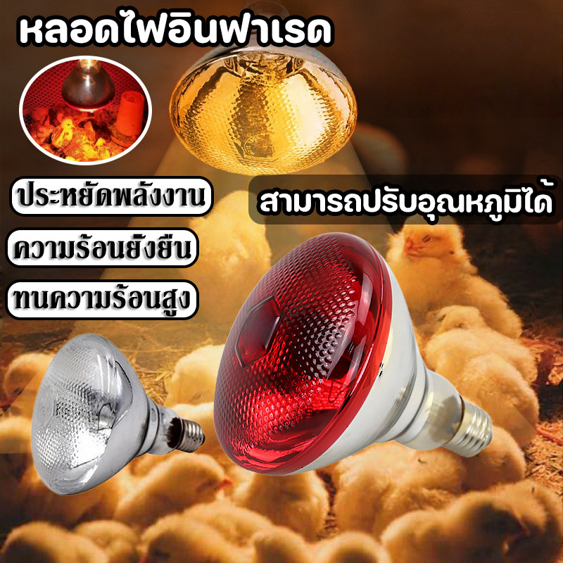 หลอดไฟอินฟาเรด สามารถปรับอุณหภูมิได้ ความร้อนยั่งยืน กันน้ำ กันฝุ่น ทนความร้อนสูง ประหยัดพลังงาน ใช้ในการเพาะพันธุ์