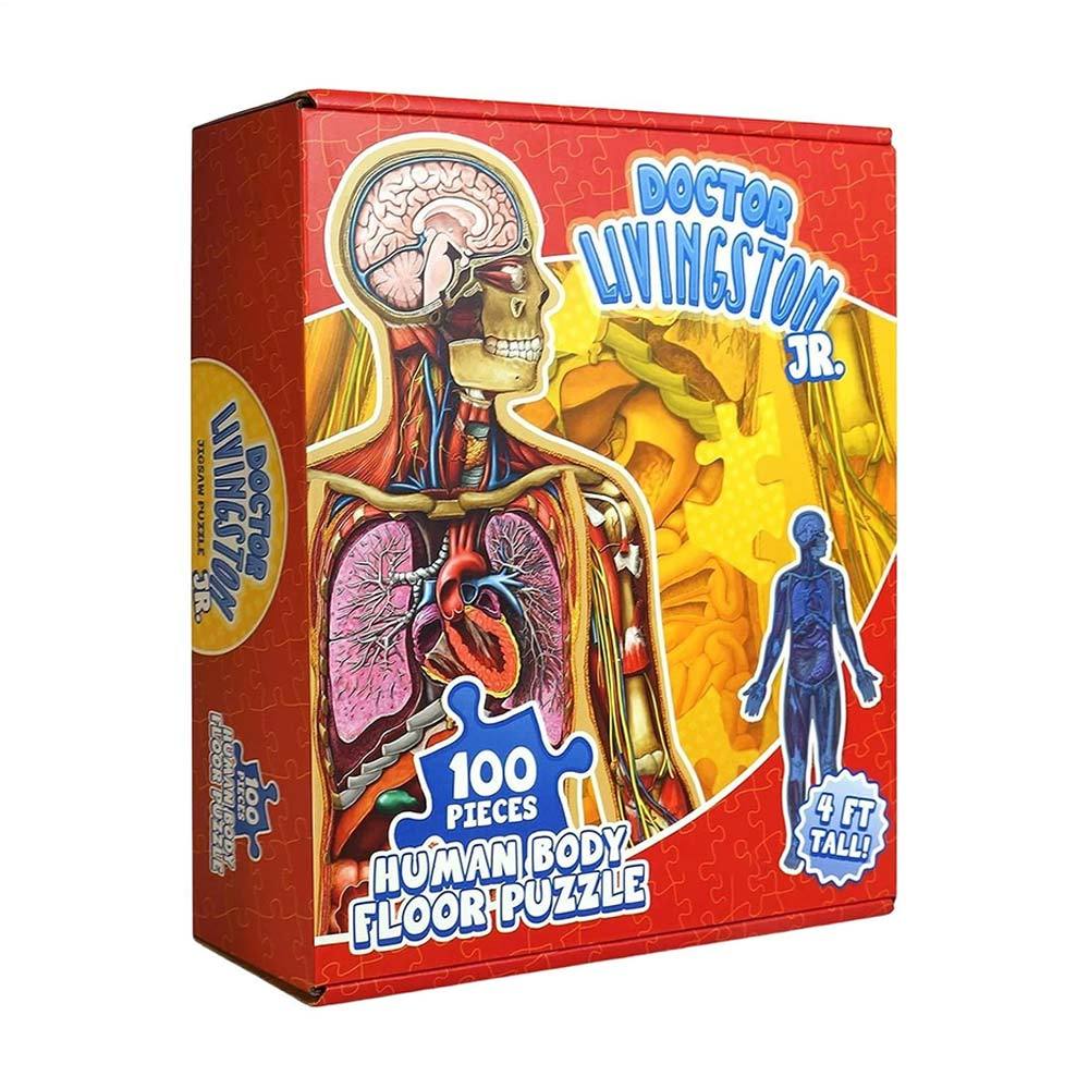 Human Body Model Human Body Anatomy Skeleton Anatomy Puzzle Education Toy