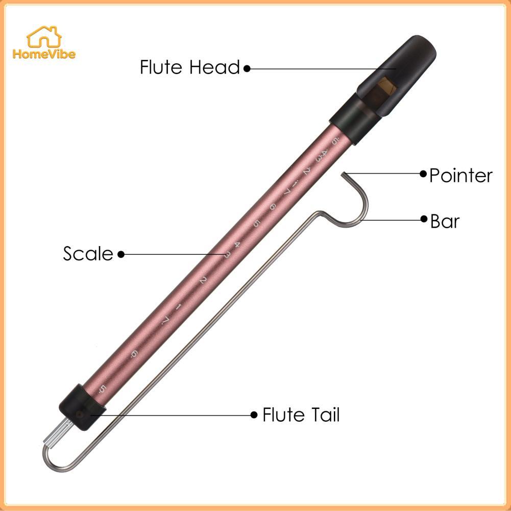 HomeVibe โลหะสไลด์นกหวีดขนาดเลื่อนขลุ่ยเหล็ก Rod เครื่องดนตรีของเล่นสำหรับเด็ก Kazoo เกมสำหรับผู้ปกค