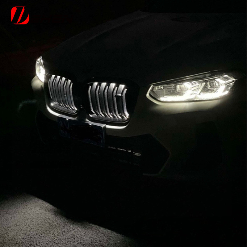 ข้อเสนอยอดนิยมเหมาะสําหรับ BMW ใหม่ X5 X6 X7 X3 X4 5 Series G30 G05 Luminous Grid ดัดแปลง LED Bright